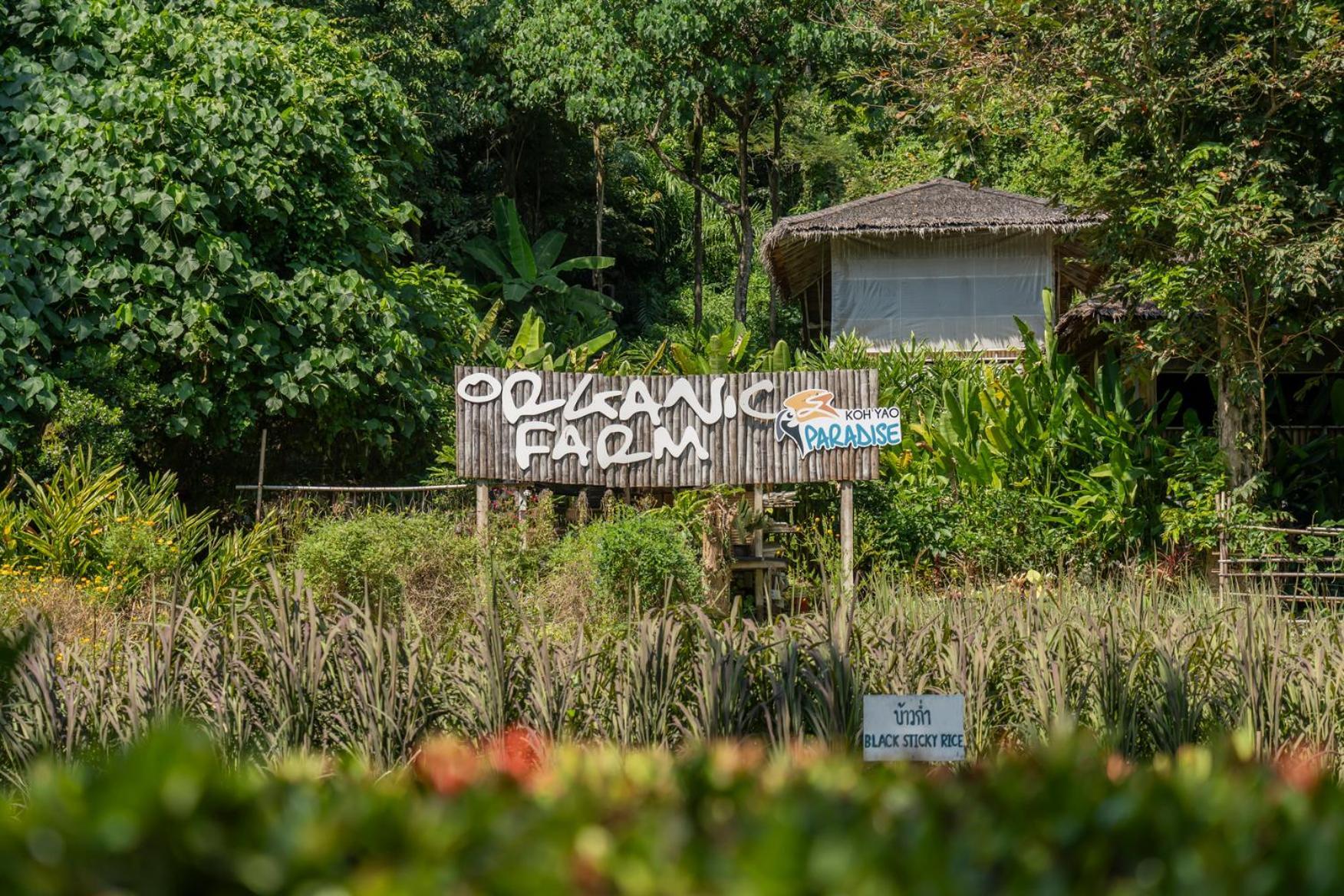 Paradise Kohyao (Adults Only) Ko Yao Noi Exterior photo